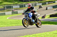 cadwell-no-limits-trackday;cadwell-park;cadwell-park-photographs;cadwell-trackday-photographs;enduro-digital-images;event-digital-images;eventdigitalimages;no-limits-trackdays;peter-wileman-photography;racing-digital-images;trackday-digital-images;trackday-photos